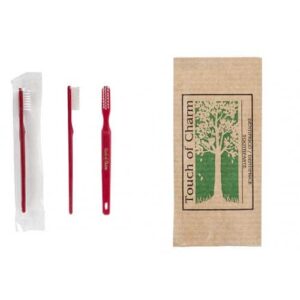 BROSSE À DENTS & DENTIFRICE
